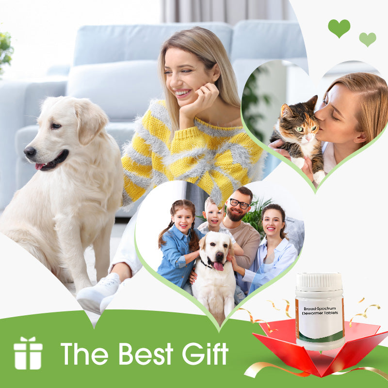 100 Tabletten zur Breitband-Entwurmung