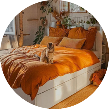 Haushaltswaren & Küche