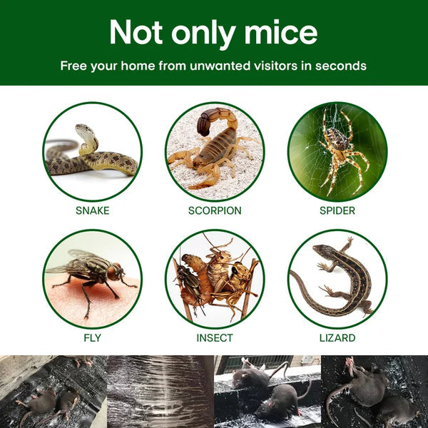 💥💥Haushalt Monofilament-Fallen Starke Mausefalle Mausefalle mit Klebefolie Mausefalle mit