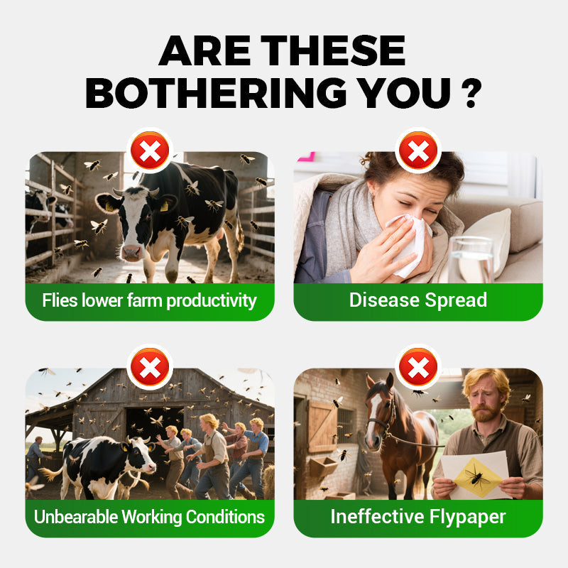 Universelles, hochwirksames und sicheres Mittel zur Fliegenbekämpfung