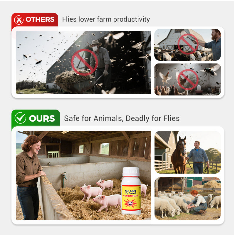 Universelles, hochwirksames und sicheres Mittel zur Fliegenbekämpfung