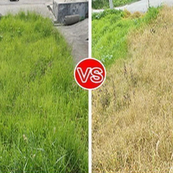 🔥Starkes Konzentriertes Herbizid🔥