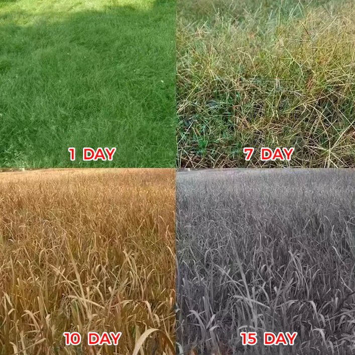 🔥Starkes Konzentriertes Herbizid🔥