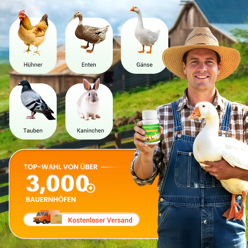 Futtermittelzusatzstoffe für die Geflügelhaltung