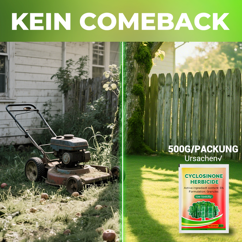 Professionelles Unkrautjäten, Bambus, Bäume, schadstofffrei, um den Hof sauberer zu machen