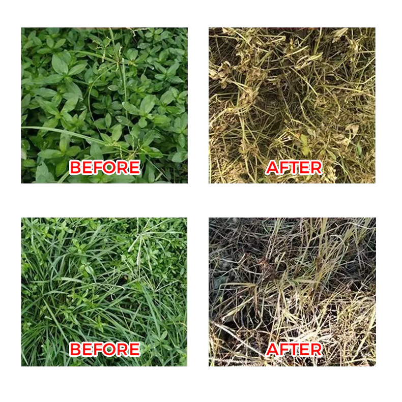 🔥Starkes Konzentriertes Herbizid🔥