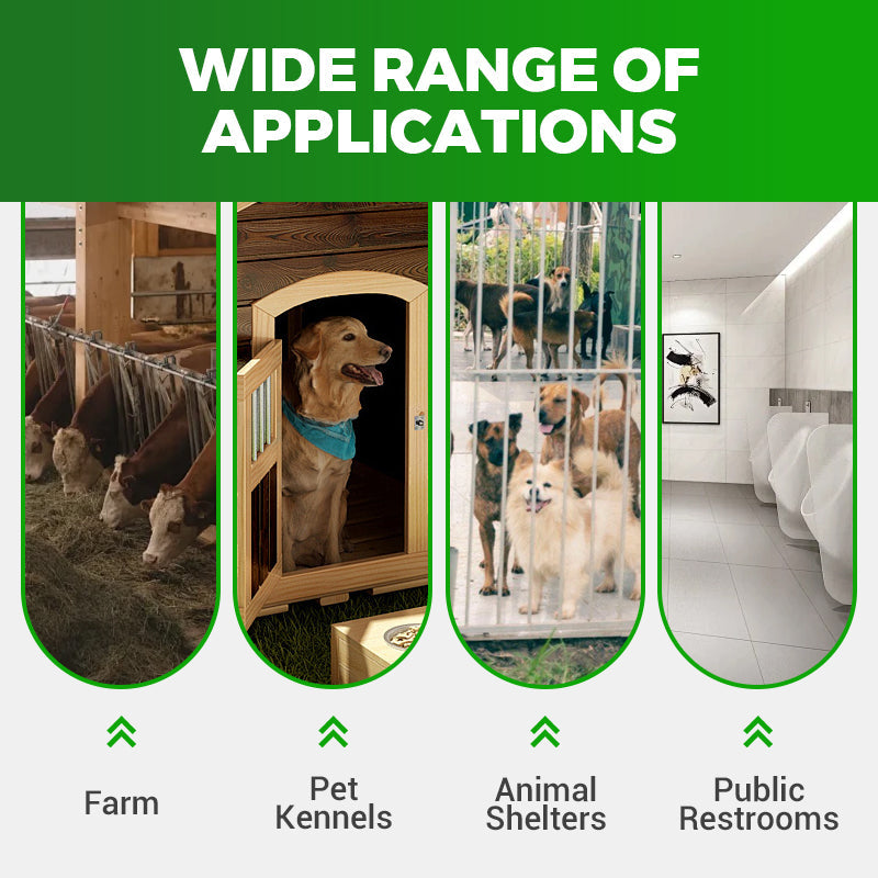 Universelles, hochwirksames und sicheres Mittel zur Fliegenbekämpfung