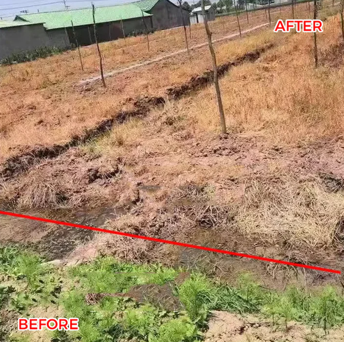 🔥Starkes Konzentriertes Herbizid🔥