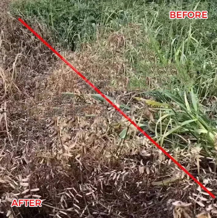 🔥Starkes Konzentriertes Herbizid🔥