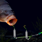 🎣⚡ Doppelhaken-Reverse-Bottom-Rig! Die verbesserte Version steigert die Anschlussrate um 56% – Schluss mit Hängenbleiben! 🎣