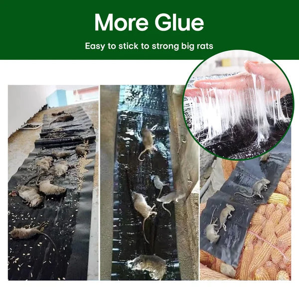 💥💥Haushalt Monofilament-Fallen Starke Mausefalle Mausefalle mit Klebefolie Mausefalle mit