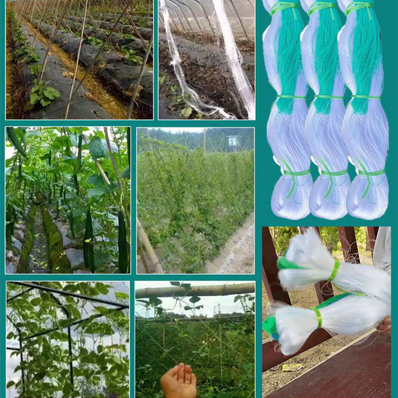 🔥 Heute -50 %! 🌿 Ranknetz für Tomaten & Gurken