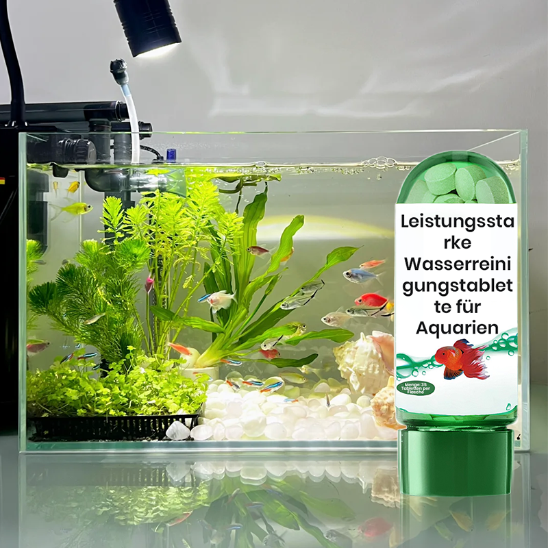 ⏳Begrenzte Zeit 57% Rabatt💥🚀Kaufen 5 und erhalten 5 gratis♻️💧Leistungsstarke Wasserreinigungstablette für Aquarien