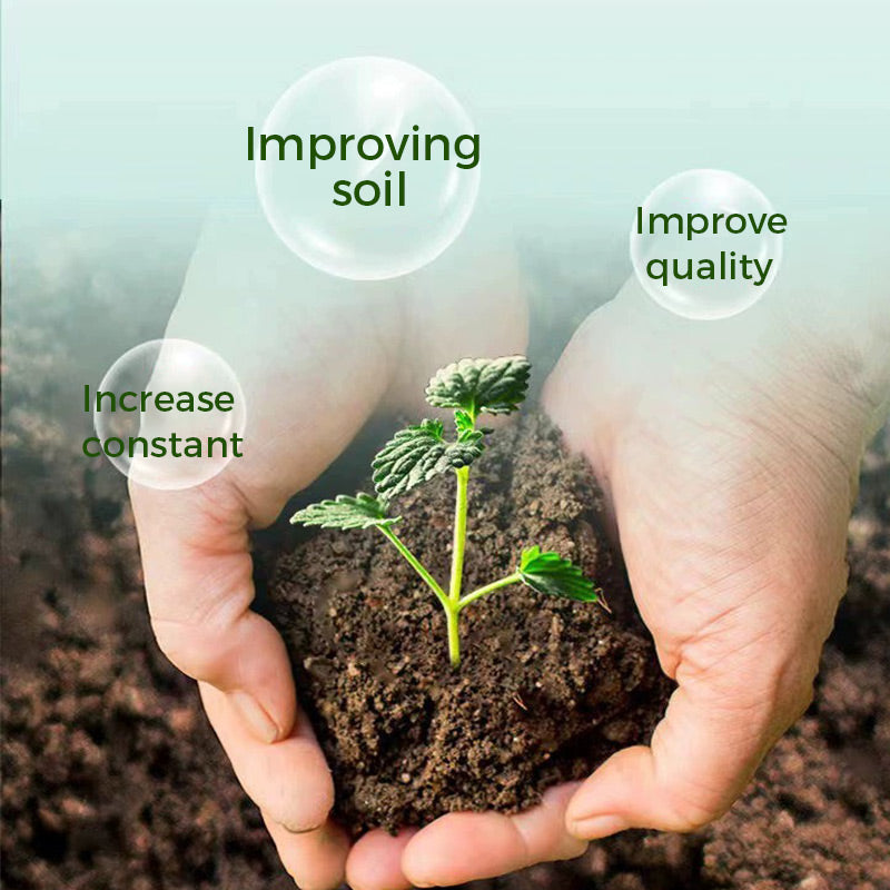 🔥Kaufen Sie 2 und erhalten Sie 1 gratis🔥Universal schnellblühendes Pulver für Blumenpflanzen