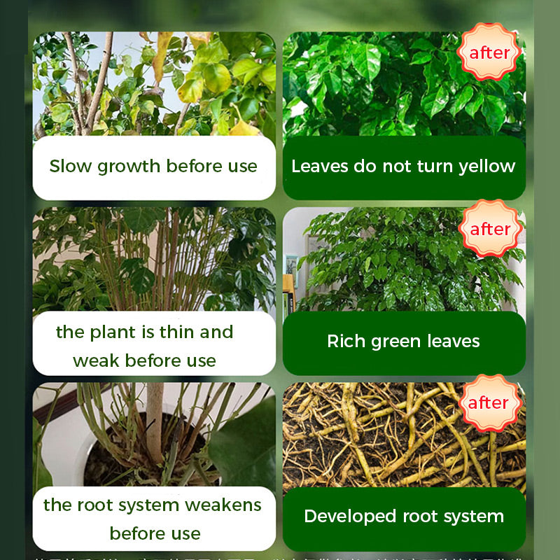 🔥Kaufen Sie 2 und erhalten Sie 1 gratis🔥Universal schnellblühendes Pulver für Blumenpflanzen