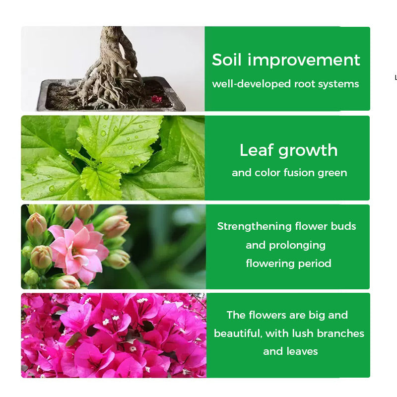 🔥Kaufen Sie 2 und erhalten Sie 1 gratis🔥Universal schnellblühendes Pulver für Blumenpflanzen