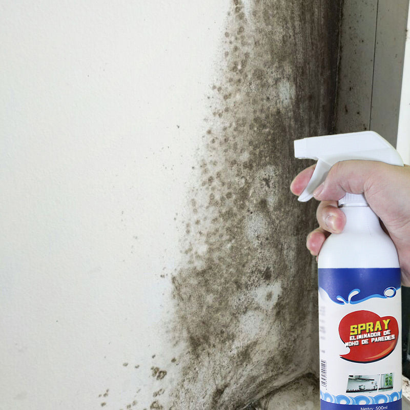 Wandschimmelentferner-Spray