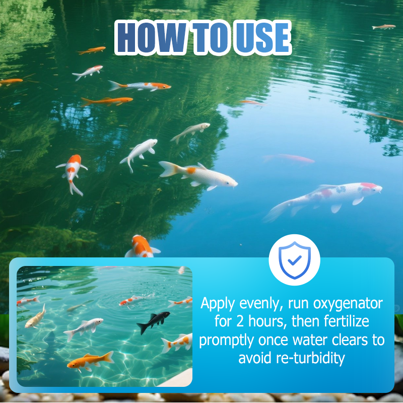 Wasseraufbereiter-Pulver für Teiche