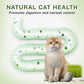 Einfacher hydroponischer Katzengras-Pflanztopf