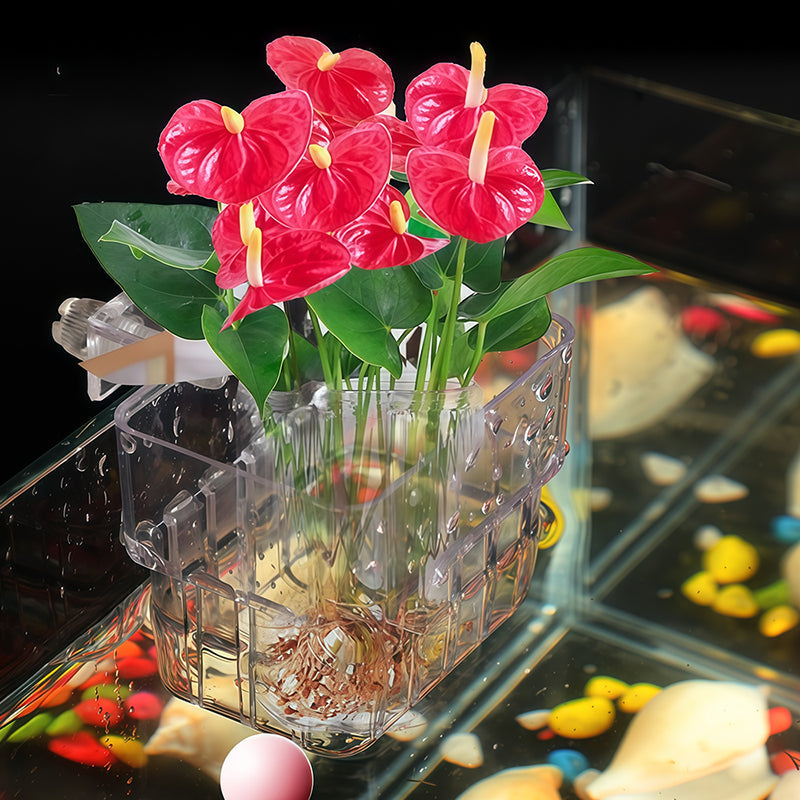 Hängender Fischglas-Pflanzenhalter