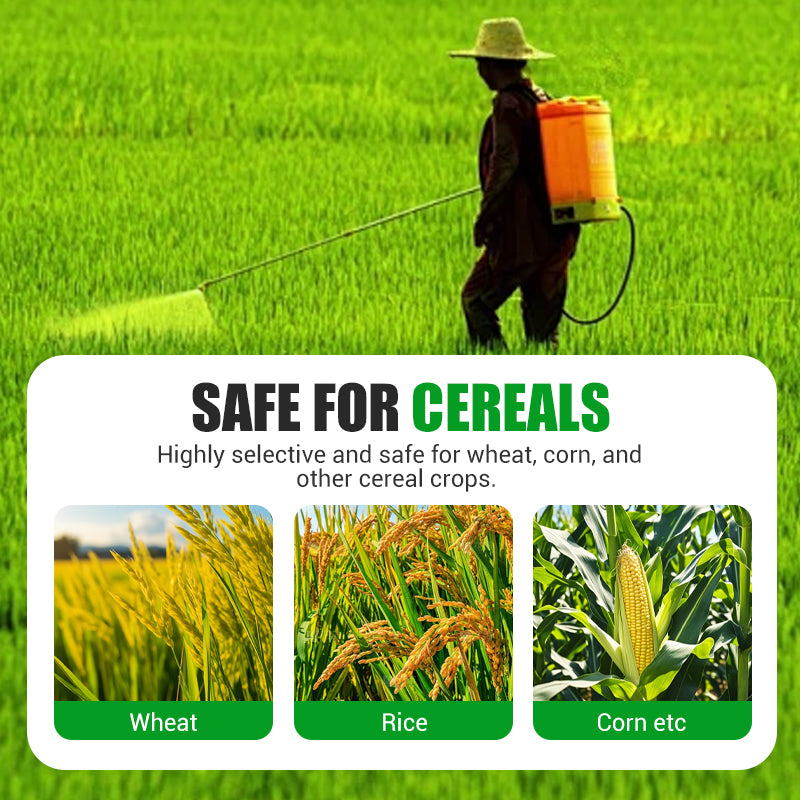 Kraftvolles Herbizid gegen breitblättrige Unkräuter