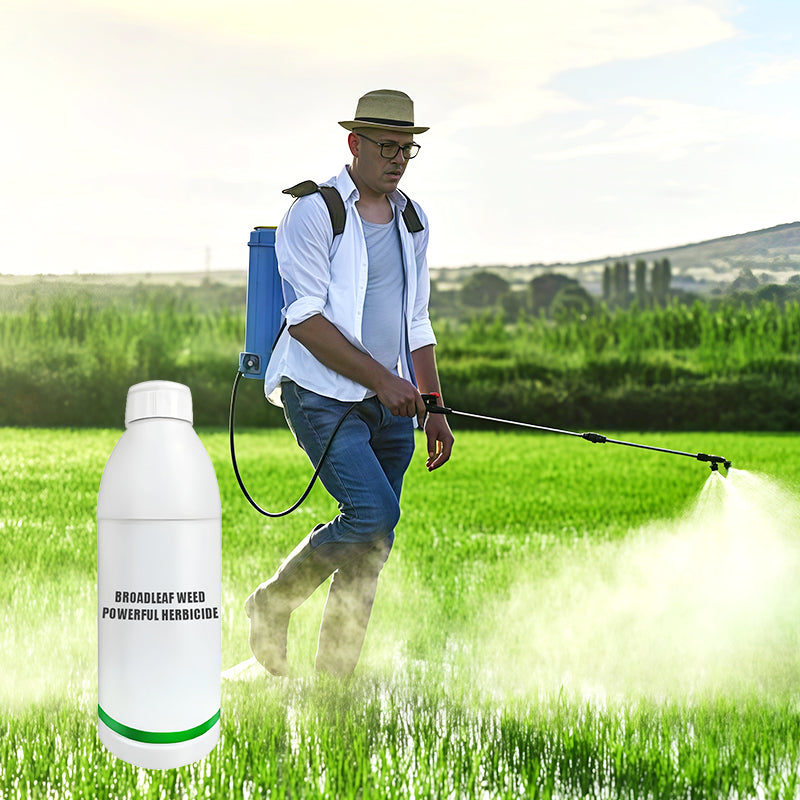 Kraftvolles Herbizid gegen breitblättrige Unkräuter