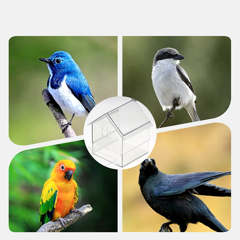 🎁HEISSER VERKAUF (50 % RABATT)🔥Ausziehbarer externer Papageienfutterspender