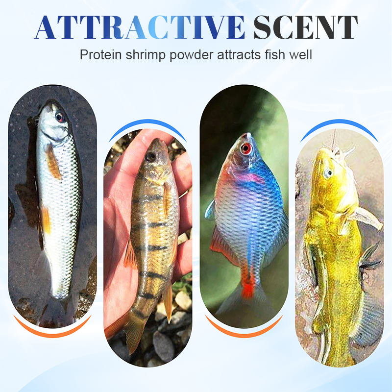 Tragbares duftendes Teigkoder für Stream Fishing