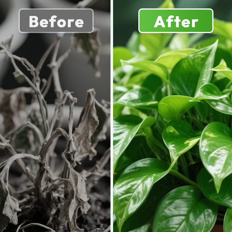 Nützliche Mikroorganismen-Dünger