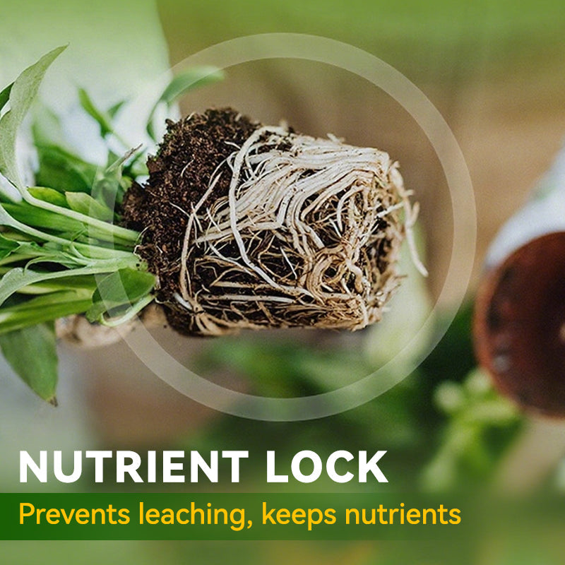 Allgemeine Nährstofflösung für Pflanzenwurzeln