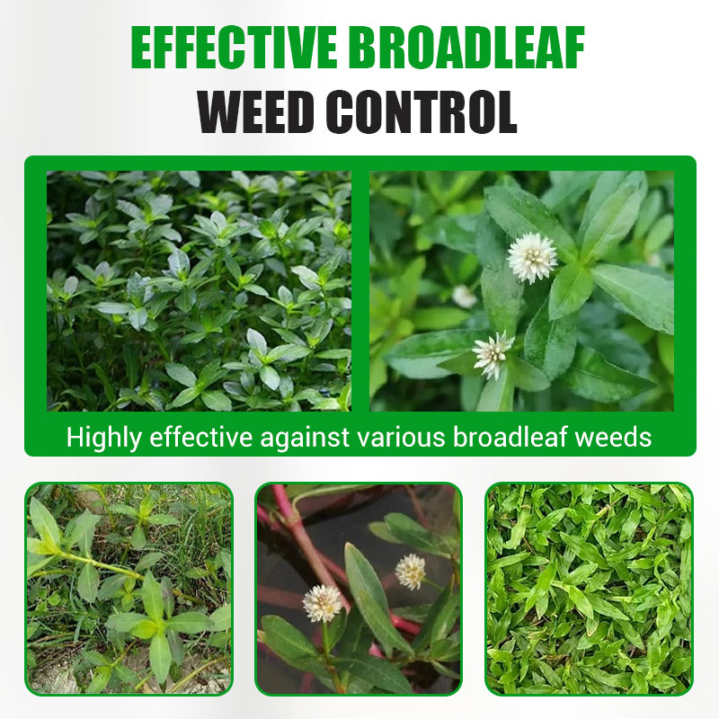 Hochwirksames Herbizid gegen breitblättrige Unkräuter