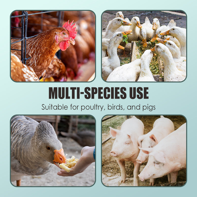 200 g Anti-Pick- und Beißpulver für Geflügel