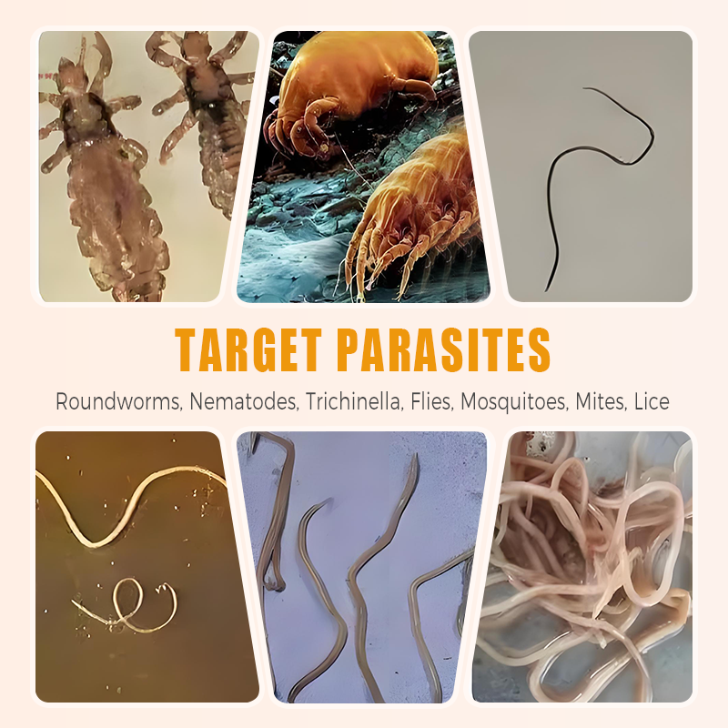 🐓Natürliches inneres und äußeres Entwurmungsmittel für Hühner