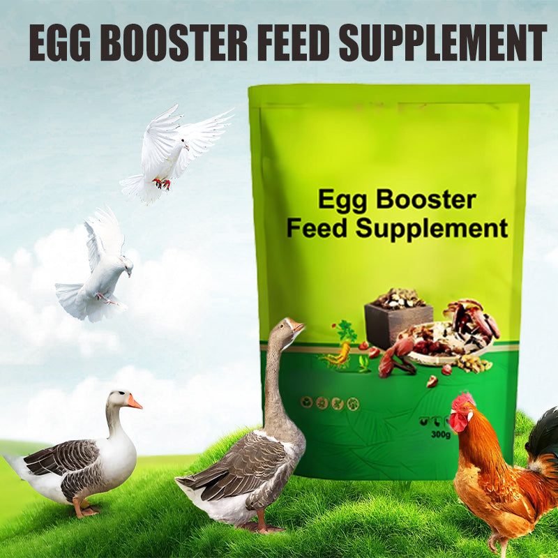 🐓🪺🥚Eier-Booster Futterergänzung