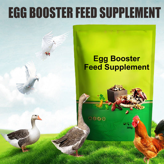 🐓🪺🥚Eier-Booster Futterergänzung