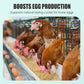 🐓🪺🥚Eier-Booster Futterergänzung