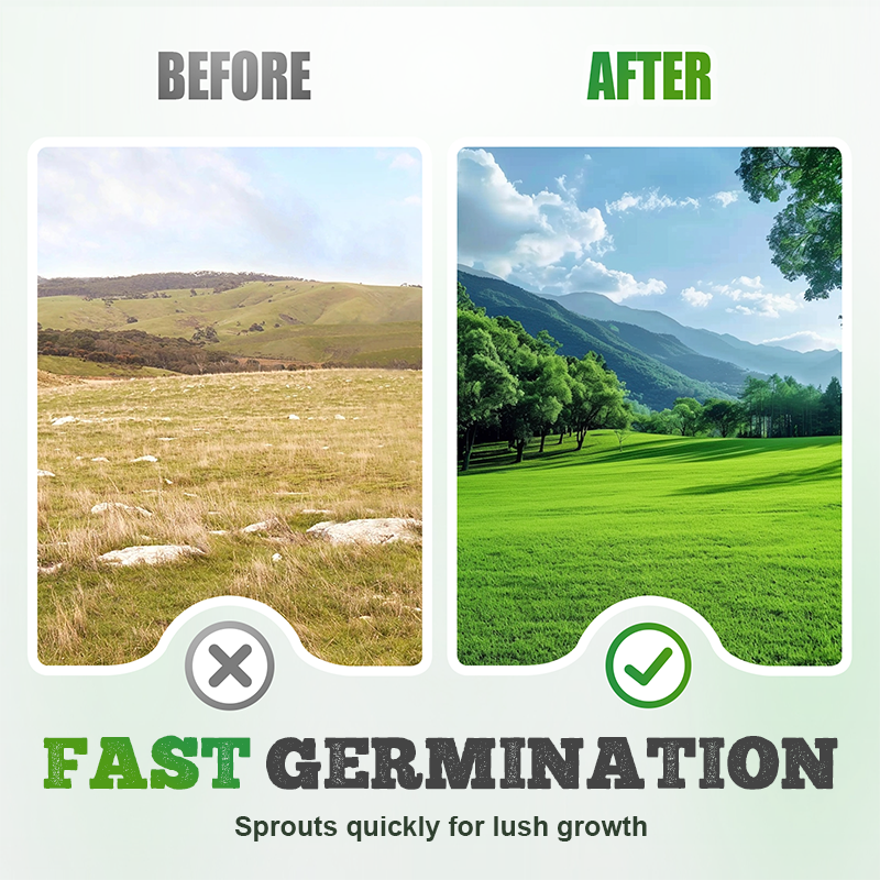 🌱Ganzjahres-Rasensamen