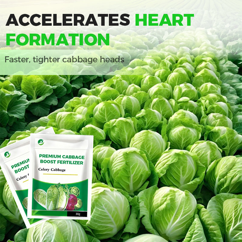 🔥🔥Premium-Dünger für Kohl – fördert das Wachstum🔥