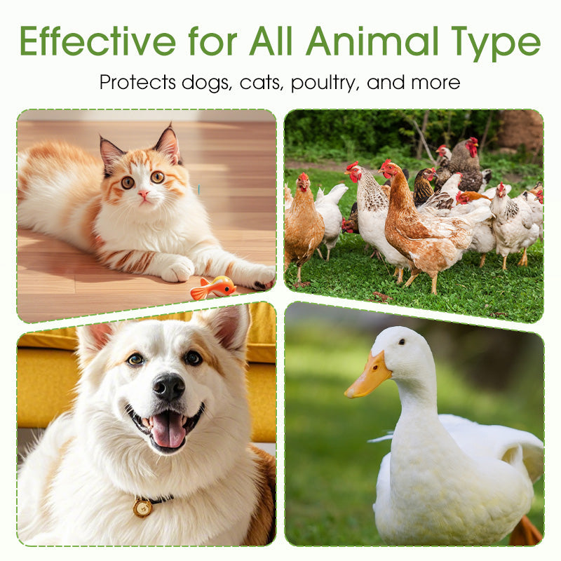 100 Tabletten zur Breitband-Entwurmung