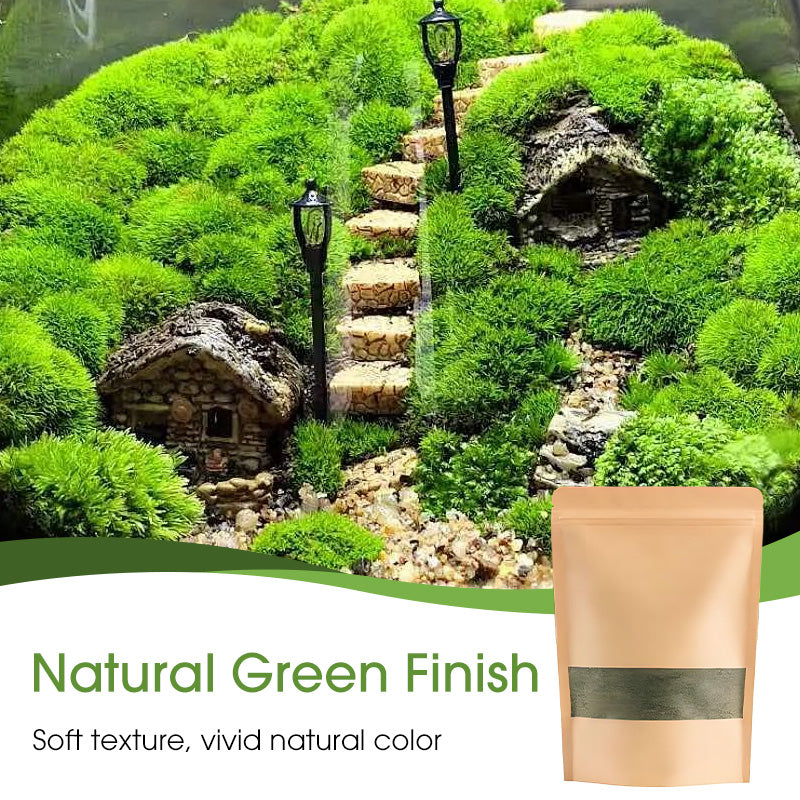 Hochwertiges Moossporenpulver