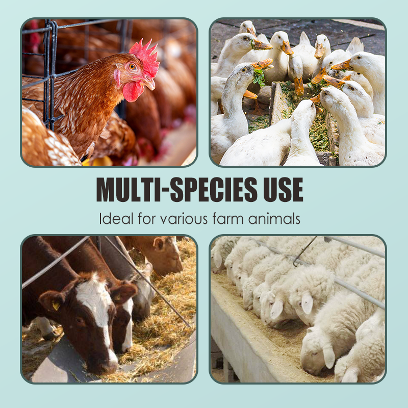 Ergänzungsfuttermittel zur Unterstützung der Gelenke von Nutz- und Geflügeltieren