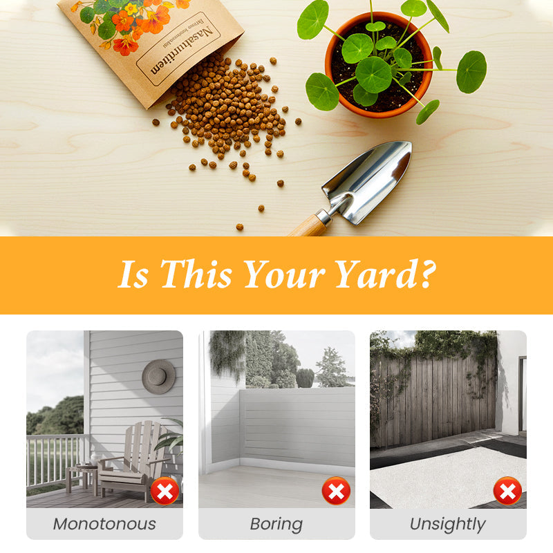 Kapuzinerkressesamen zum Pflanzen