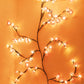 🎁Heiße Aktion 56 % Rabatt Weinreben-Blumen-Atmosphärenlampe 💫