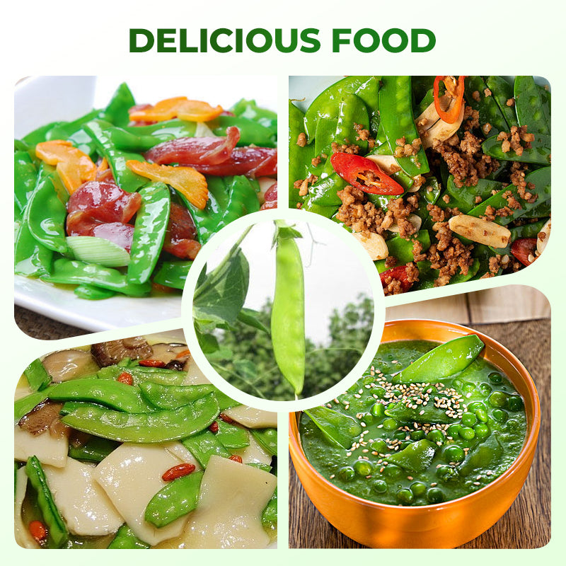 Süße, knackige Zuckererbsensamen