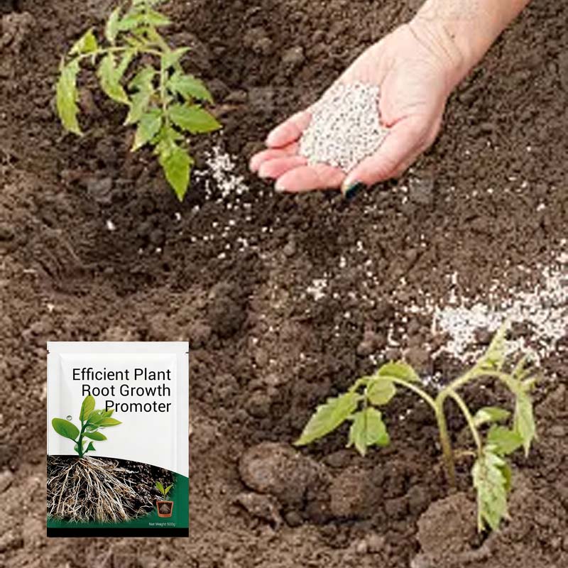 Pulvriger Wurzel-Aktivator