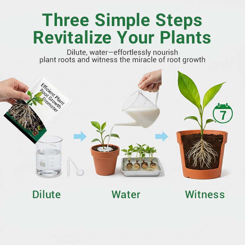 Pulvriger Wurzel-Aktivator