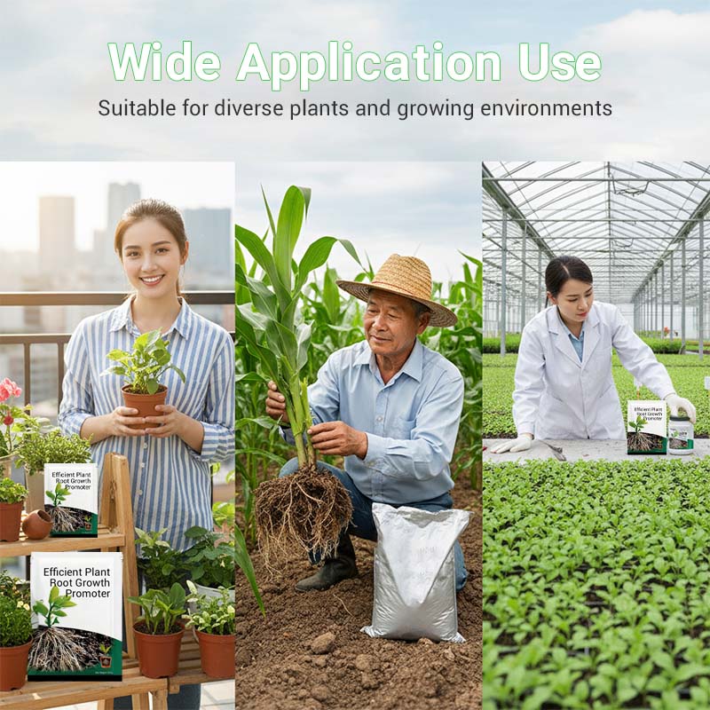 Pulvriger Wurzel-Aktivator