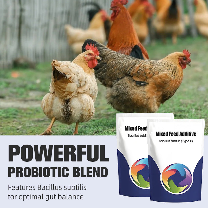 ✨Probiotischer & enzymatischer Futterzusatz🔥🔥🔥