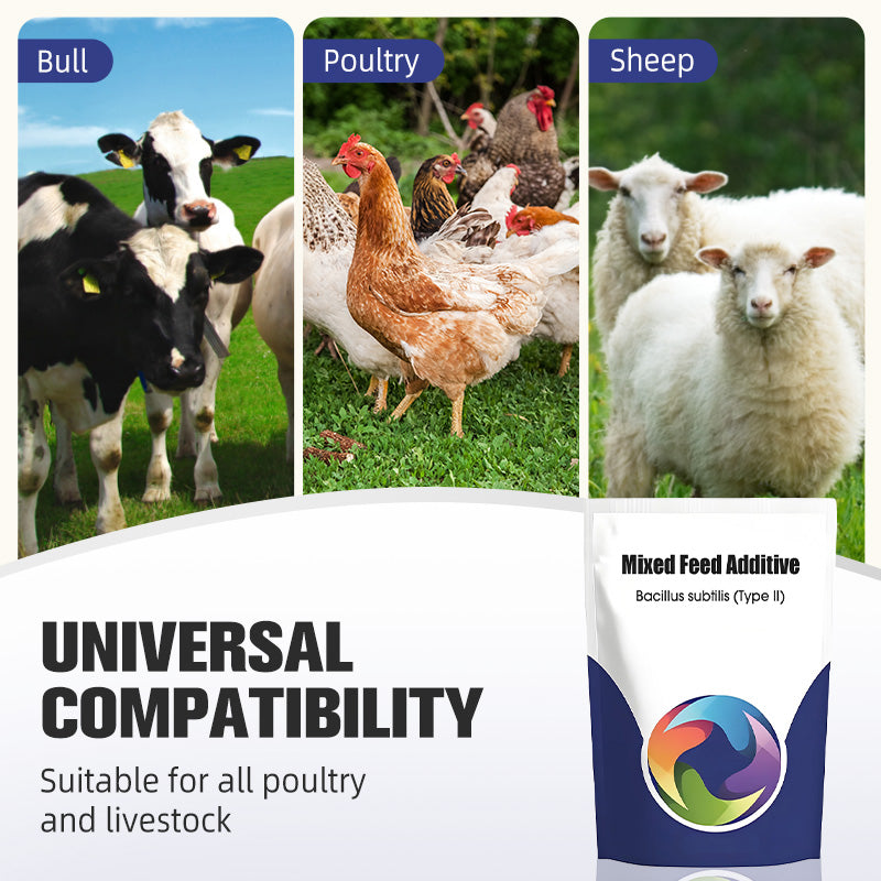 ✨Probiotischer & enzymatischer Futterzusatz🔥🔥🔥