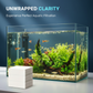 Aquarium-Wasserklärungsblätter